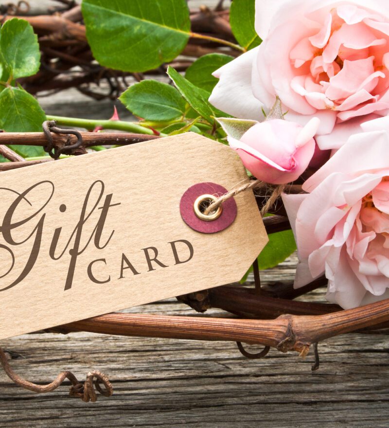 European Body Works Spa / Salon Knoxville Tennessee